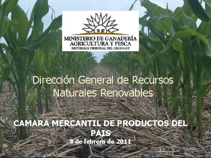 Dirección General de Recursos Naturales Renovables CAMARA MERCANTIL DE PRODUCTOS DEL PAIS 8 de