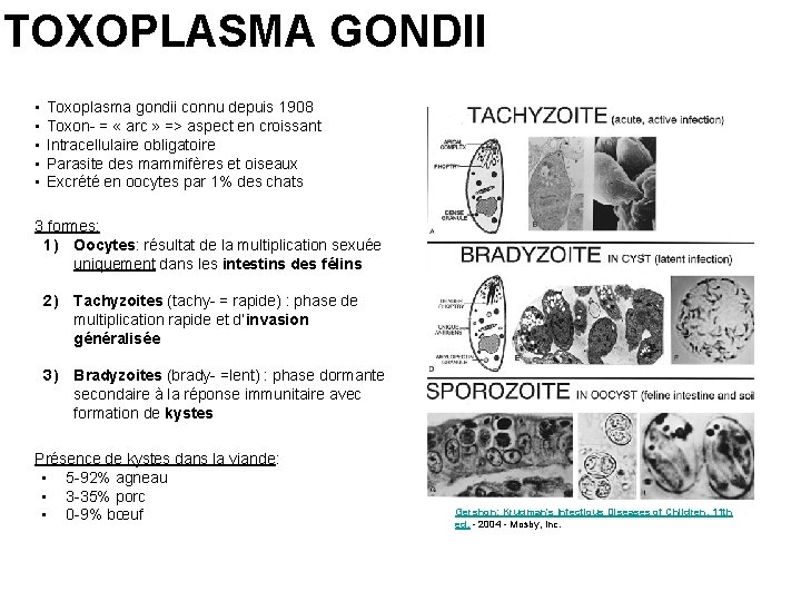 TOXOPLASMA GONDII • • • Toxoplasma gondii connu depuis 1908 Toxon- = « arc