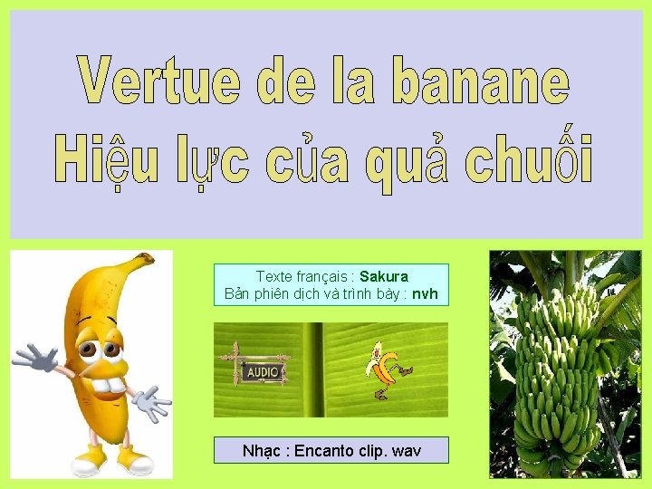 Texte français : Sakura Bản phiên dịch và trình bày : nvh Nhạc :