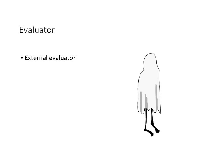 Evaluator • External evaluator 