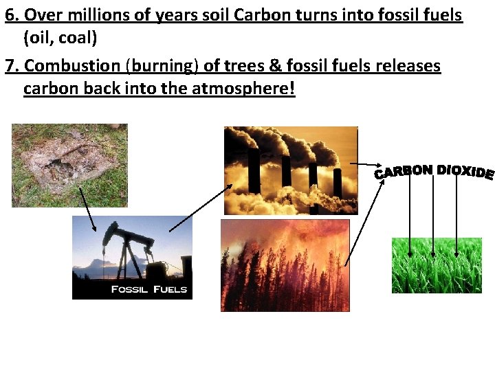 6. Over millions of years soil Carbon turns into fossil fuels (oil, coal) 7. 6. Over millions of years soil Carbon turns into fossil fuels (oil, coal) 7.