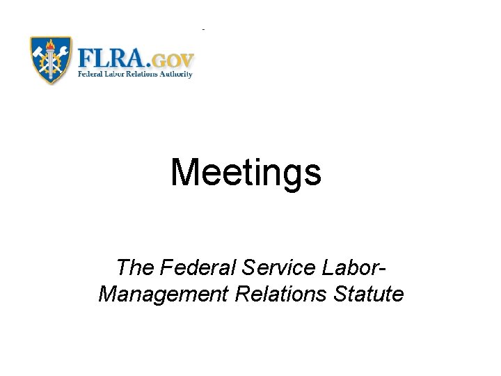 Meetings The Federal Service Labor. Management Relations Statute 