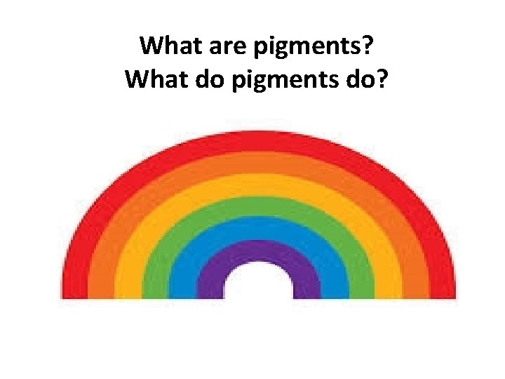 What are pigments? What do pigments do? 