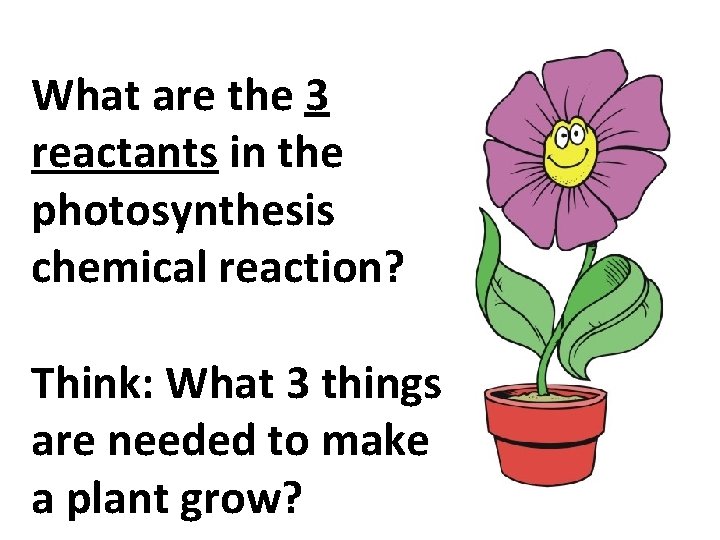 What are the 3 reactants in the photosynthesis chemical reaction? Think: What 3 things