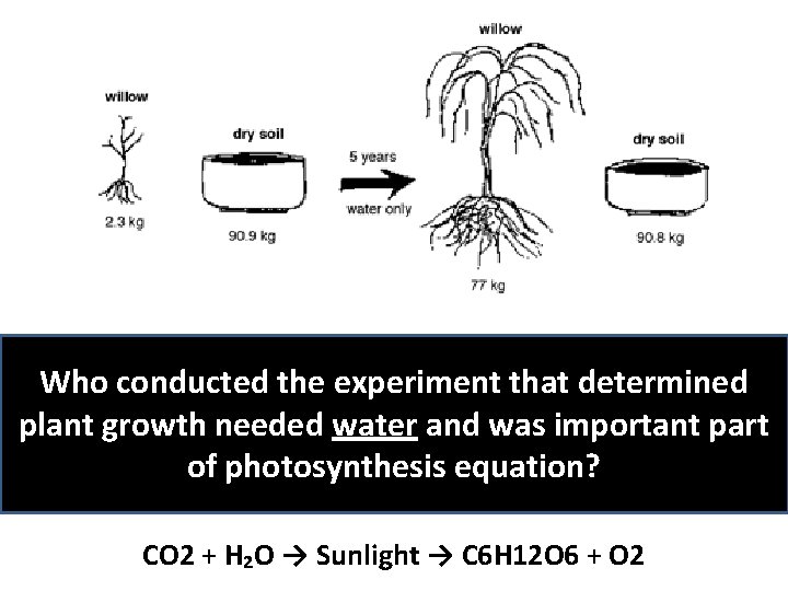 Who conducted the experiment that determined plant growth needed water and was important part