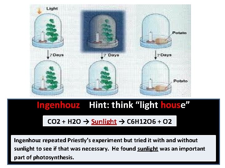 Ingenhouz Hint: think “light house” CO 2 + H 2 O → Sunlight →