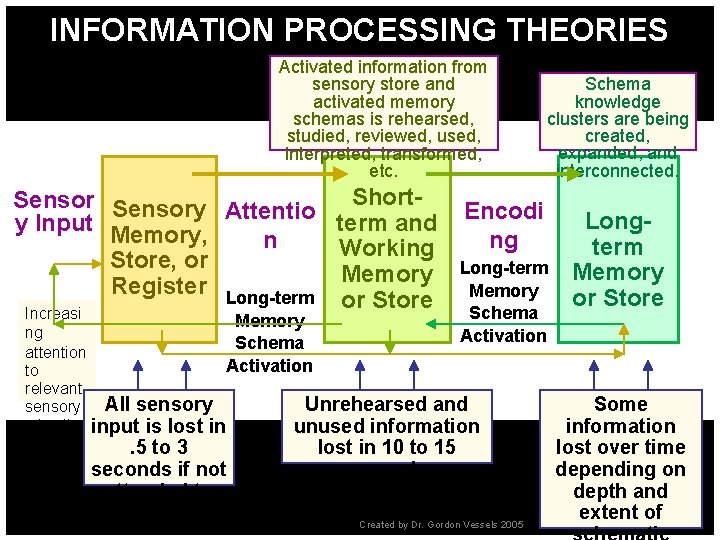 INFORMATION PROCESSING THEORIES Activated information from sensory store and activated memory schemas is rehearsed,