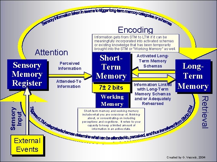 Encoding Short. Term Memory 7± 2 bits Working Memory Activated Long. Term Memory Schemas