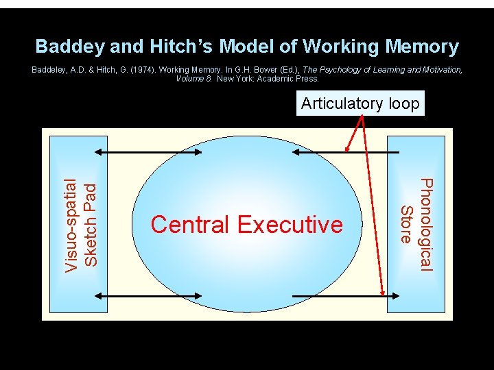 Baddey and Hitch’s Model of Working Memory Baddeley, A. D. & Hitch, G. (1974).