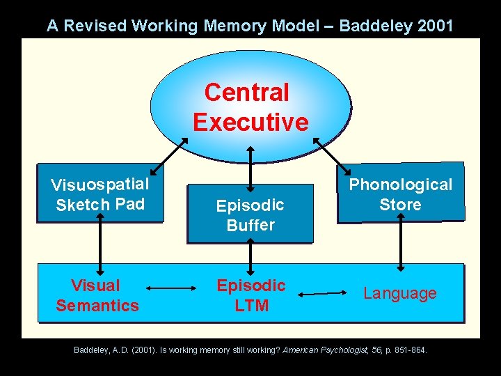 A Revised Working Memory Model – Baddeley 2001 Central Executive Visuospatial Sketch Pad Visual