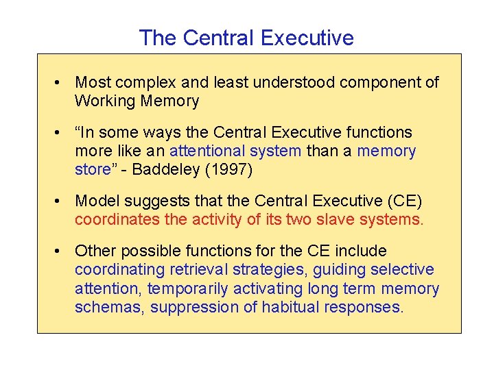 The Central Executive • Most complex and least understood component of Working Memory •