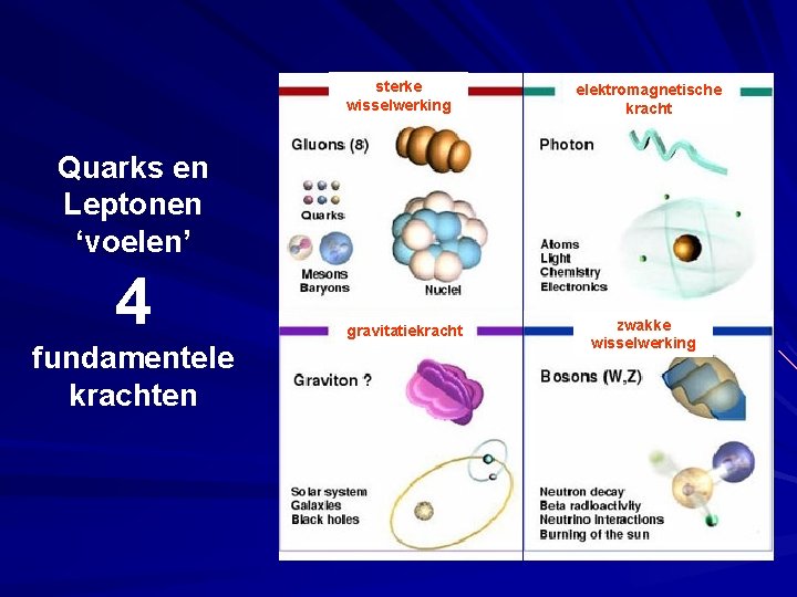 sterke wisselwerking elektromagnetische kracht Quarks en Leptonen ‘voelen’ 4 fundamentele krachten gravitatiekracht zwakke wisselwerking