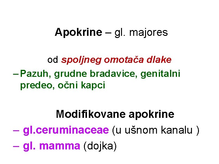 Apokrine – gl. majores od spoljneg omotača dlake – Pazuh, grudne bradavice, genitalni predeo,