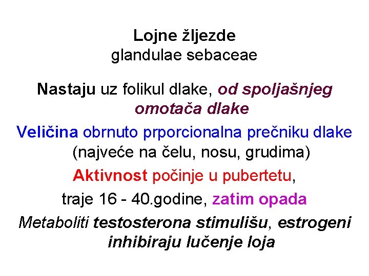 Lojne žljezde glandulae sebaceae Nastaju uz folikul dlake, od spoljašnjeg omotača dlake Veličina obrnuto