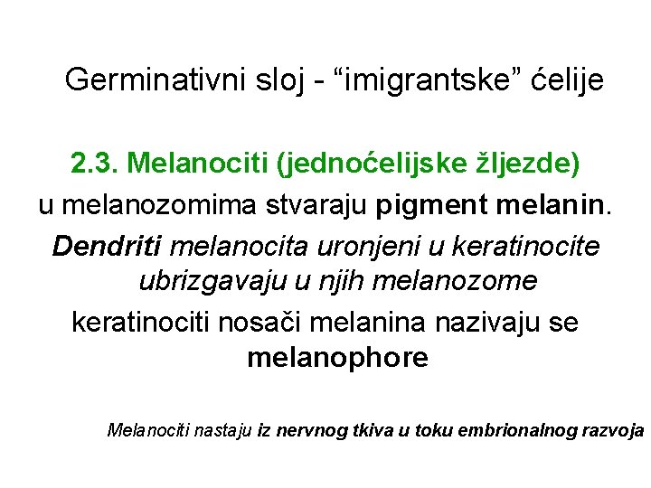 Germinativni sloj - “imigrantske” ćelije 2. 3. Melanociti (jednoćelijske žljezde) u melanozomima stvaraju pigment