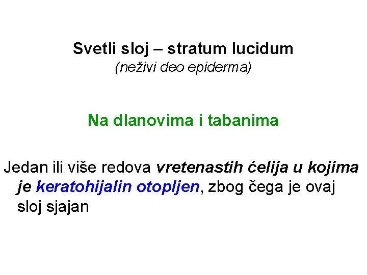 Svetli sloj – stratum lucidum (neživi deo epiderma) Na dlanovima i tabanima Jedan ili