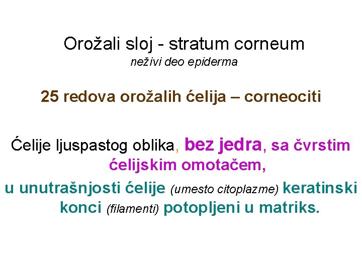 Orožali sloj - stratum corneum neživi deo epiderma 25 redova orožalih ćelija – corneociti