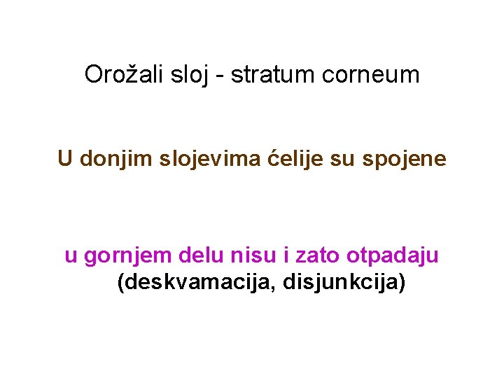 Orožali sloj - stratum corneum U donjim slojevima ćelije su spojene u gornjem delu