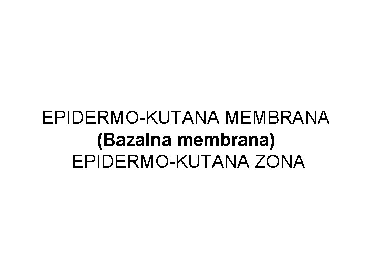EPIDERMO-KUTANA MEMBRANA (Bazalna membrana) EPIDERMO-KUTANA ZONA 