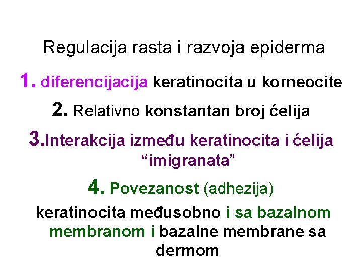 Regulacija rasta i razvoja epiderma 1. diferencija keratinocita u korneocite 2. Relativno konstantan broj