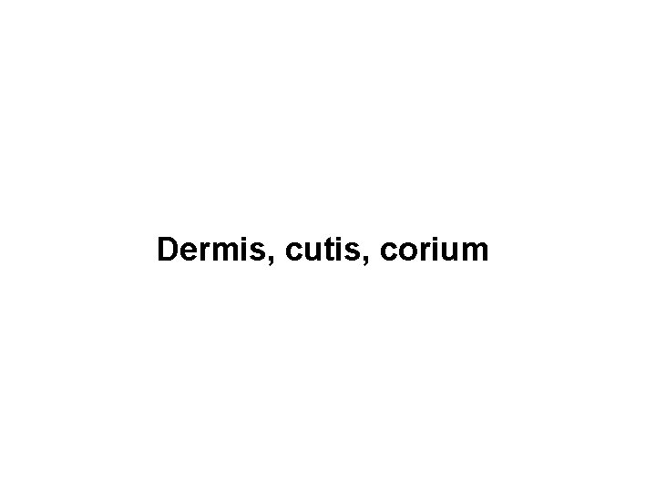 Dermis, cutis, corium 