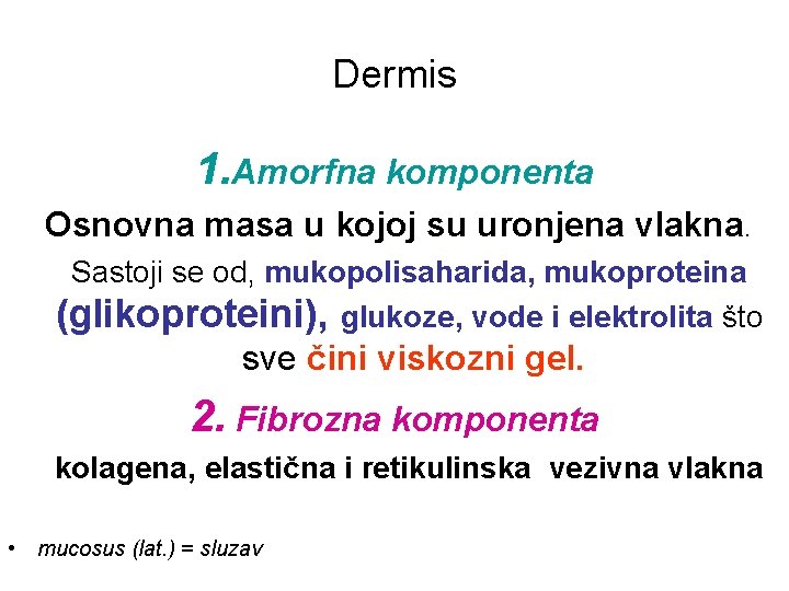 Dermis 1. Amorfna komponenta Osnovna masa u kojoj su uronjena vlakna. Sastoji se od,