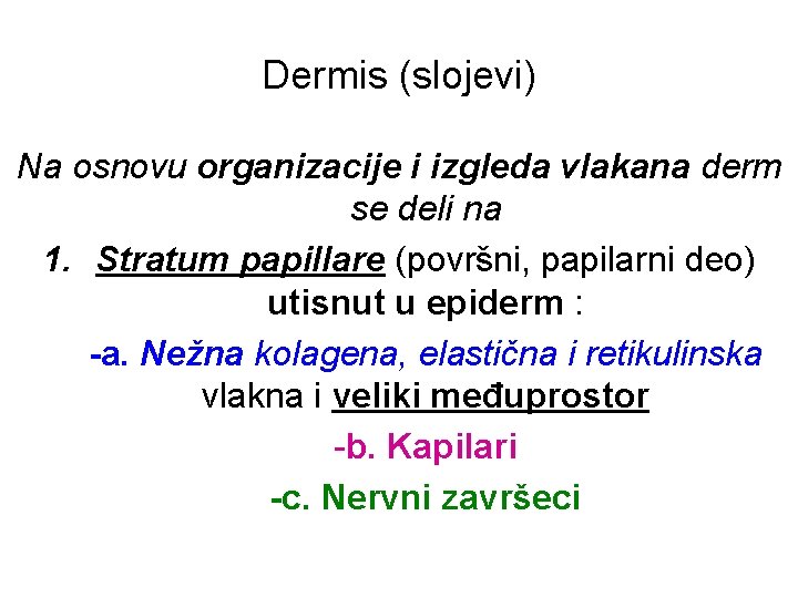 Dermis (slojevi) Na osnovu organizacije i izgleda vlakana derm se deli na 1. Stratum