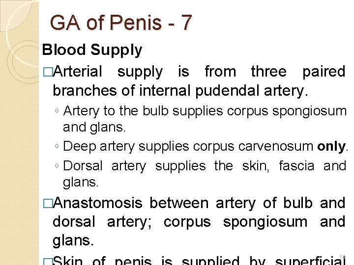 GA of Penis - 7 Blood Supply �Arterial supply is from three paired branches