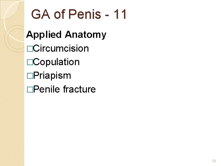 GA of Penis - 11 Applied Anatomy �Circumcision �Copulation �Priapism �Penile fracture 19 