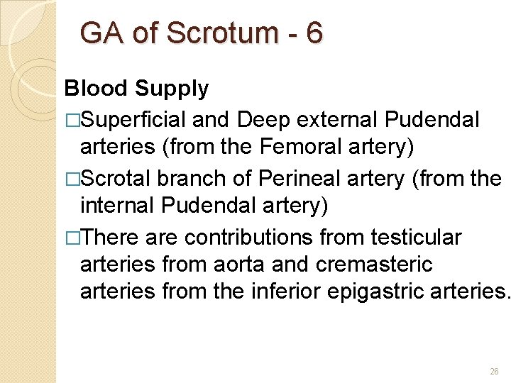 GA of Scrotum - 6 Blood Supply �Superficial and Deep external Pudendal arteries (from