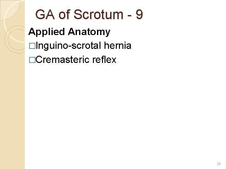 GA of Scrotum - 9 Applied Anatomy �Inguino-scrotal hernia �Cremasteric reflex 29 