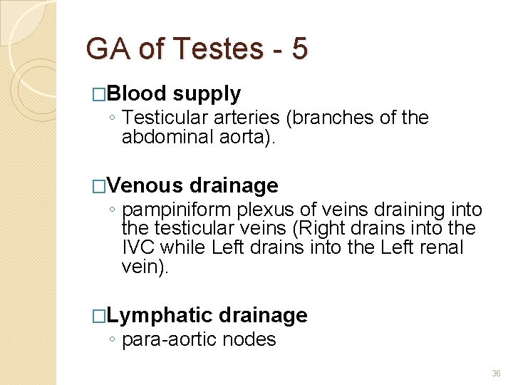 GA of Testes - 5 �Blood supply ◦ Testicular arteries (branches of the abdominal