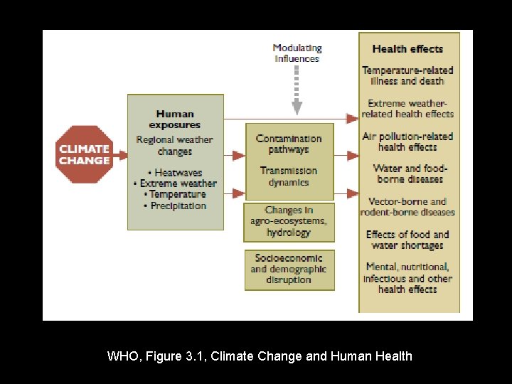 WHO, Figure 3. 1, Climate Change and Human Health 