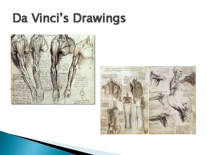 Da Vinci’s Drawings 