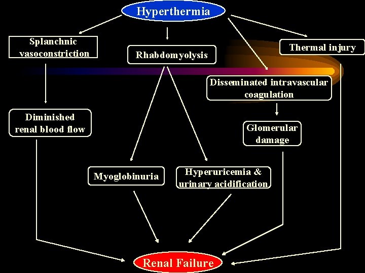 Hyperthermia Splanchnic vasoconstriction Thermal injury Rhabdomyolysis Disseminated intravascular coagulation Diminished renal blood flow Glomerular