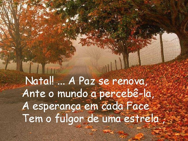 Natal!. . . A Paz se renova, Ante o mundo a percebê-la, A esperança