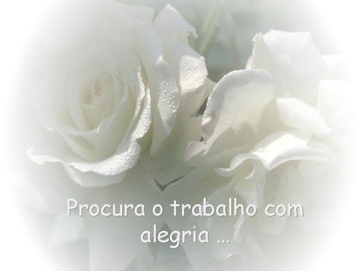 Procura o trabalho com alegria … 