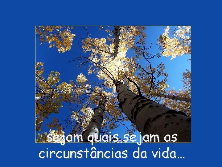 sejam quais sejam as circunstâncias da vida… 