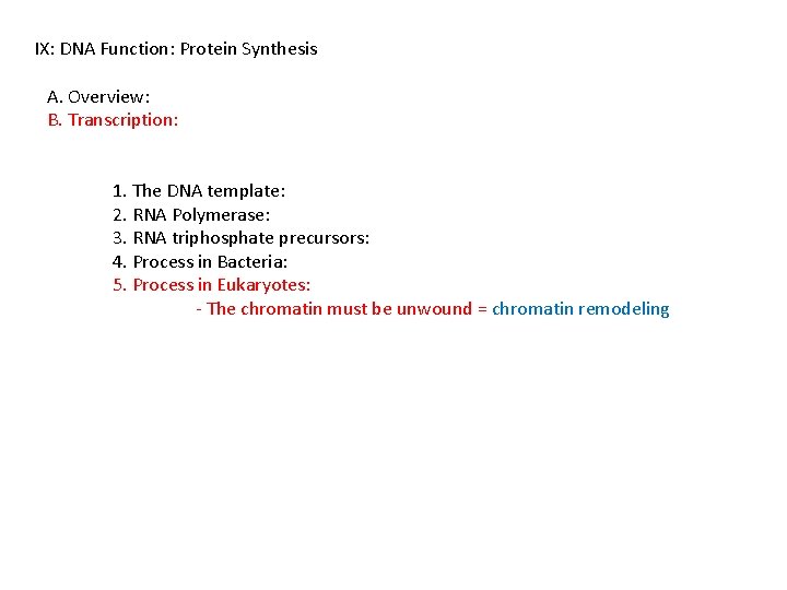 IX: DNA Function: Protein Synthesis A. Overview: B. Transcription: 1. The DNA template: 2.