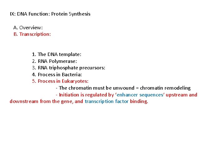 IX: DNA Function: Protein Synthesis A. Overview: B. Transcription: 1. The DNA template: 2.