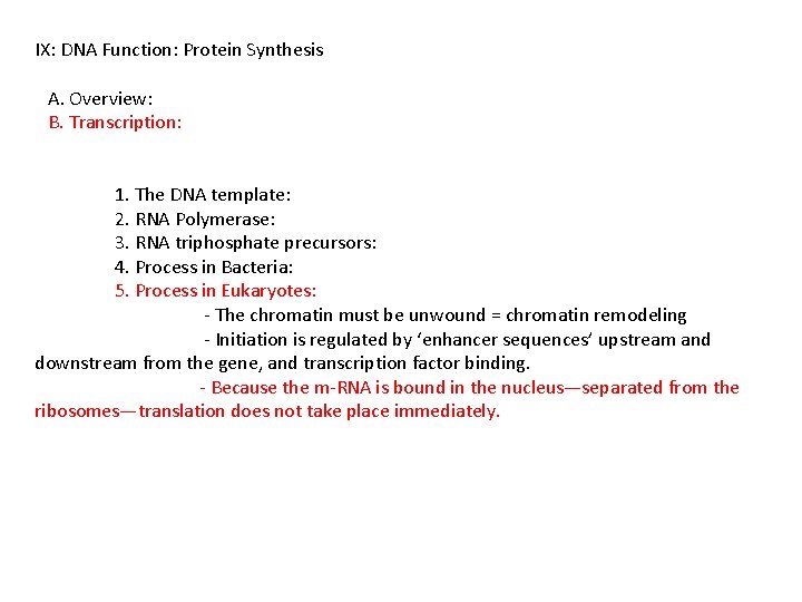 IX: DNA Function: Protein Synthesis A. Overview: B. Transcription: 1. The DNA template: 2.