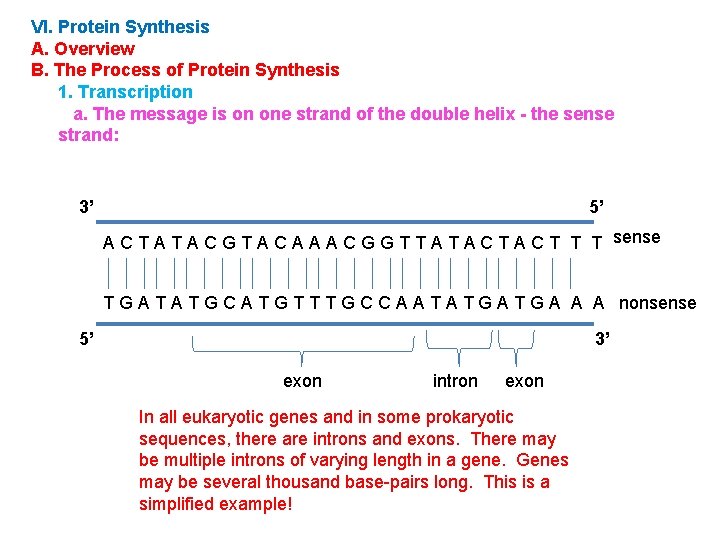 VI. Protein Synthesis A. Overview B. The Process of Protein Synthesis 1. Transcription a.