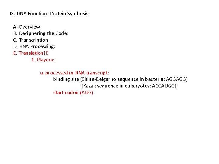 IX: DNA Function: Protein Synthesis A. Overview: B. Deciphering the Code: C. Transcription: D.