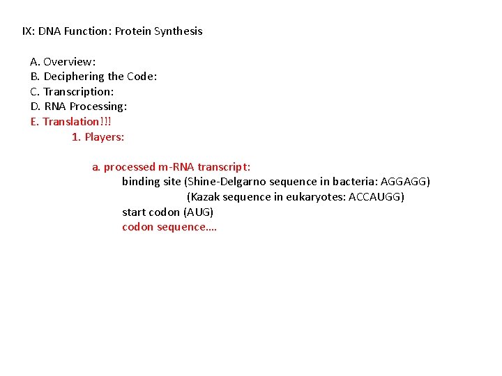 IX: DNA Function: Protein Synthesis A. Overview: B. Deciphering the Code: C. Transcription: D.