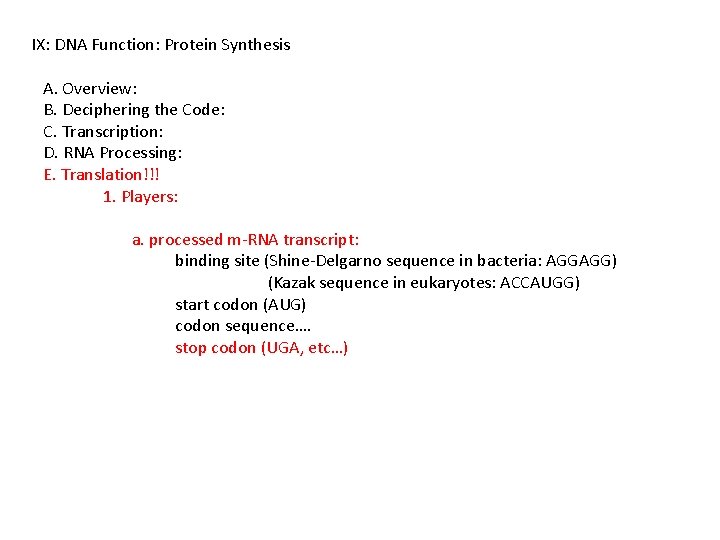IX: DNA Function: Protein Synthesis A. Overview: B. Deciphering the Code: C. Transcription: D.