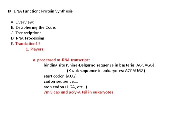 IX: DNA Function: Protein Synthesis A. Overview: B. Deciphering the Code: C. Transcription: D.