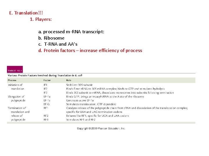 E. Translation!!! 1. Players: a. processed m-RNA transcript: b. Ribosome c. T-RNA and AA’s