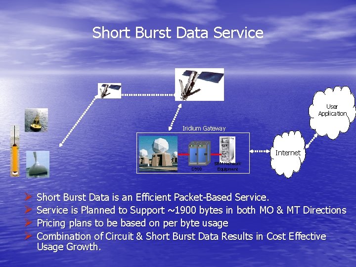 Short Burst Data Service User Application Iridium Gateway Internet D 900 SBM Network Equipment