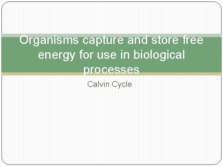 Organisms capture and store free energy for use in biological processes Calvin Cycle 