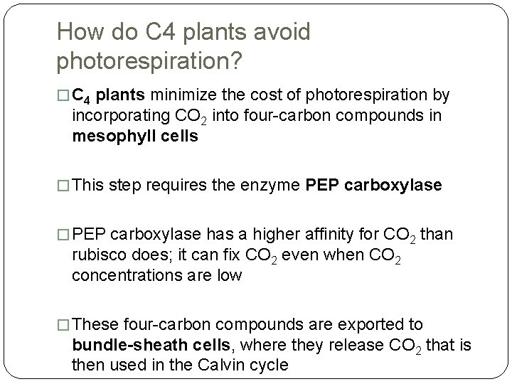 How do C 4 plants avoid photorespiration? � C 4 plants minimize the cost